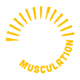 Zone Musculation à Rennes