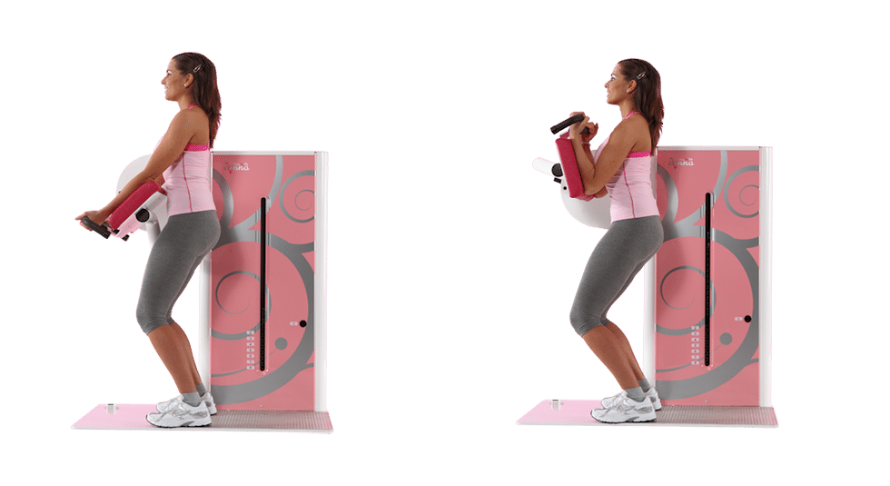 Espace Tonification - Biceps