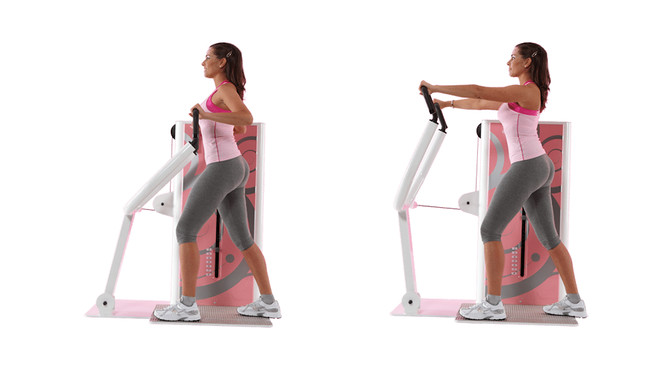 Espace Tonification - Dos et Triceps