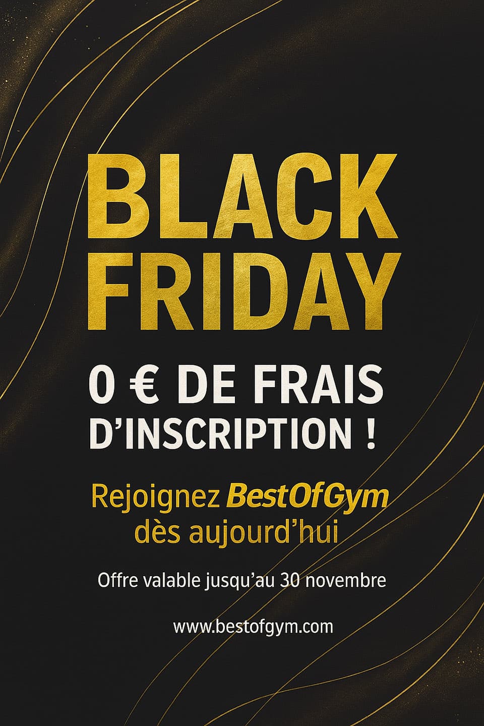 Offre de l'année : Black Friday